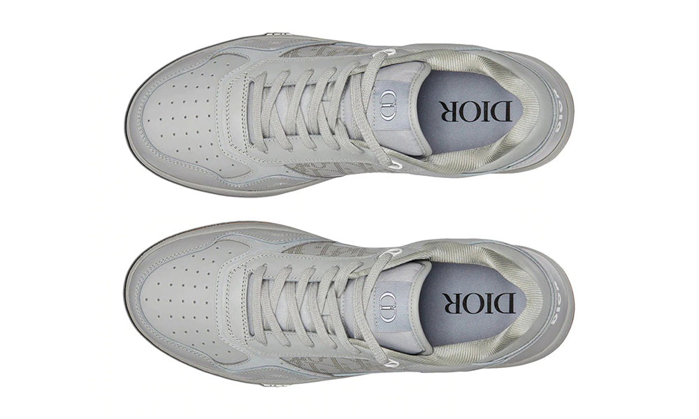 Dior B27 Low Top Sneaker Grey