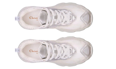 Dior Vibe Sneaker "White Mesh and Silver-Tone"